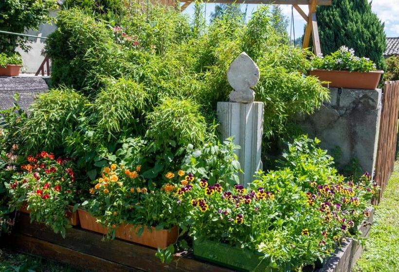 فندق Agroturystyka Ranczo