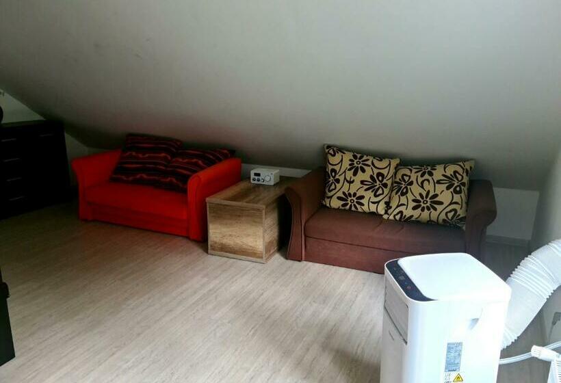 בית מלון כפרי Joga Leskowiec