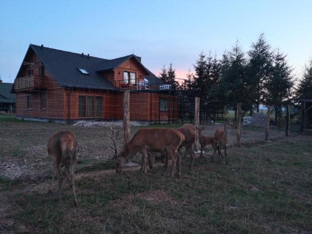 בית מלון כפרי Noclegi święta Katarzyna ,, Pod Jeleniami Prawdziwymi