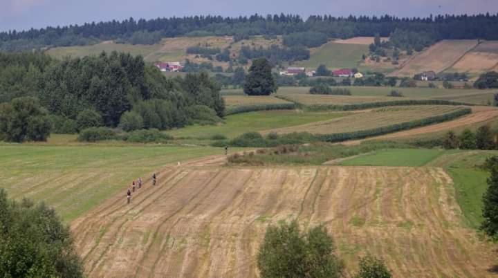 בית מלון כפרי Noclegi święta Katarzyna ,, Pod Jeleniami Prawdziwymi