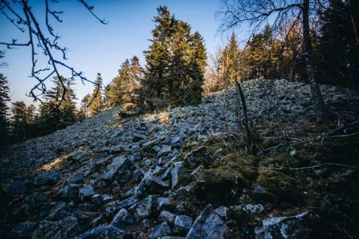 בית מלון כפרי Noclegi święta Katarzyna ,, Pod Jeleniami Prawdziwymi