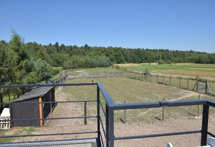 בית מלון כפרי Noclegi święta Katarzyna ,, Pod Jeleniami Prawdziwymi