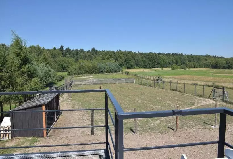 ホテル Noclegi święta Katarzyna ,, Pod Jeleniami Prawdziwymi