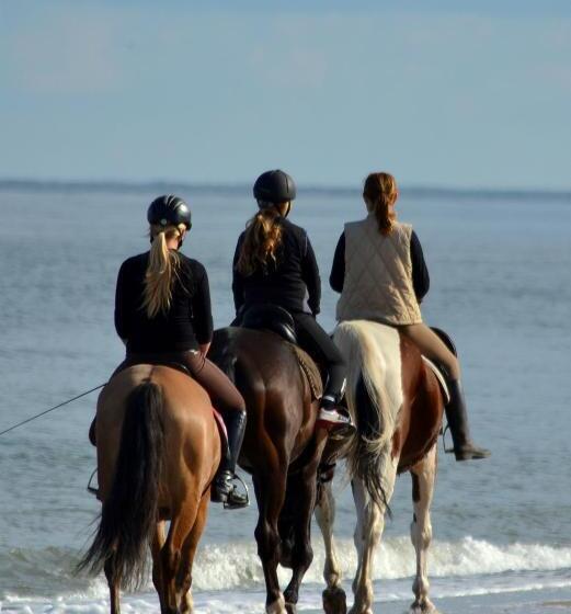 בית מלון כפרי Pokoje Gościnne Strażnica