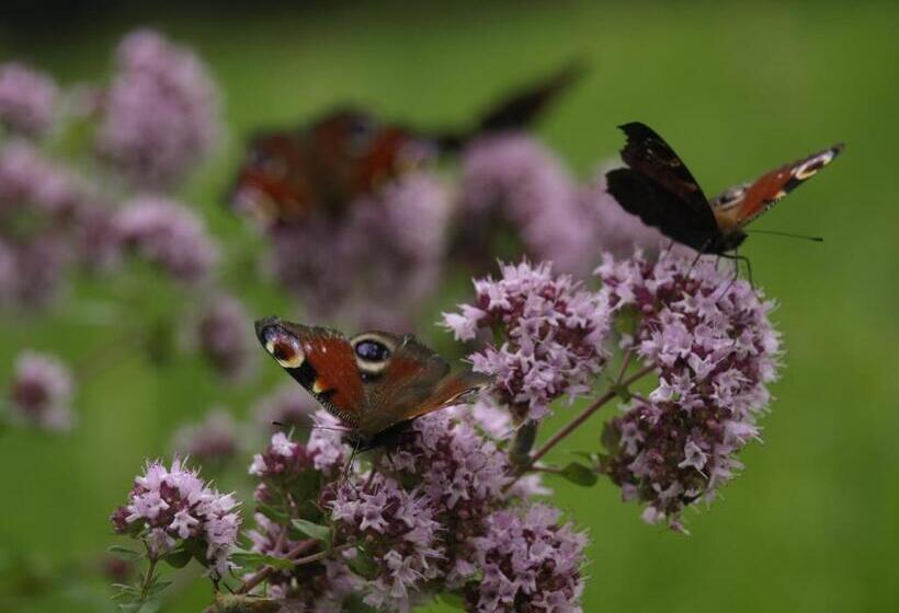 בית מלון כפרי Wieża Marzeń