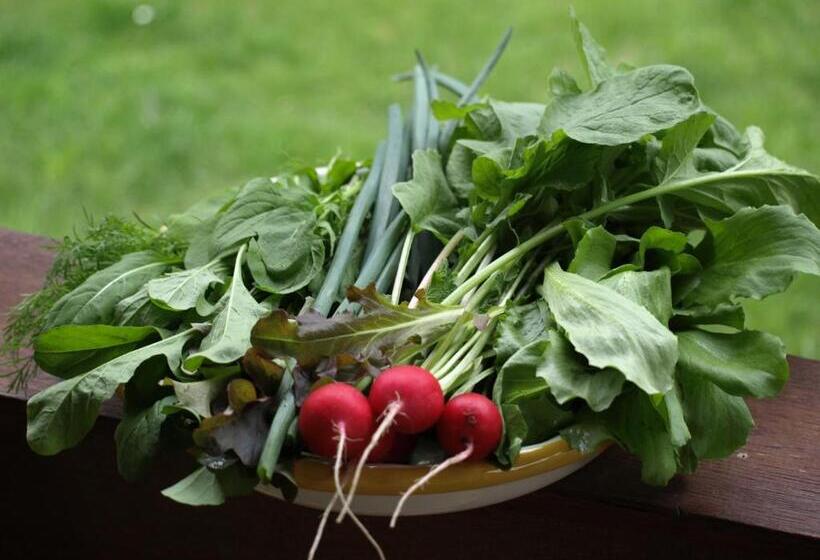 בית מלון כפרי Wieża Marzeń