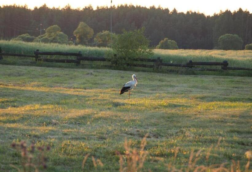 בית מלון כפרי Wieża Marzeń