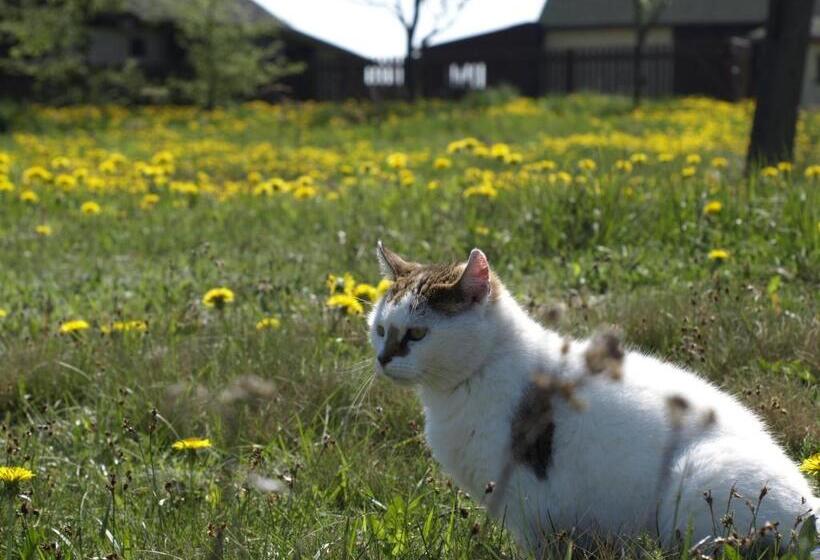 בית מלון כפרי Wieża Marzeń