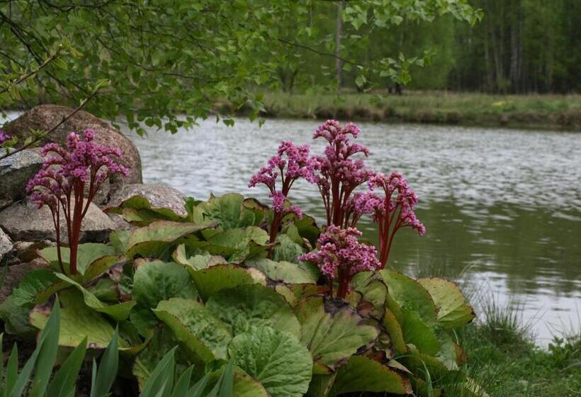 בית מלון כפרי Wieża Marzeń