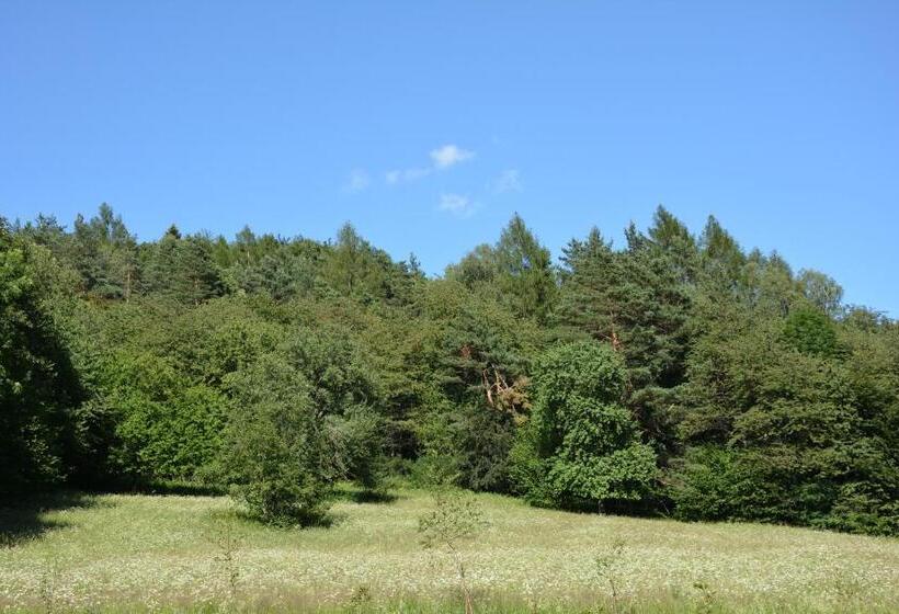 Пансион Czarny Dział