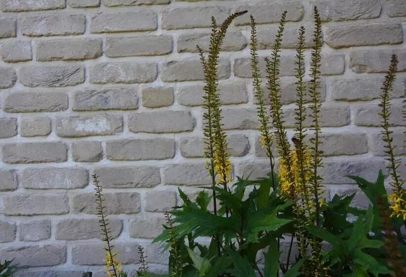 Majatalo Czarny Dział