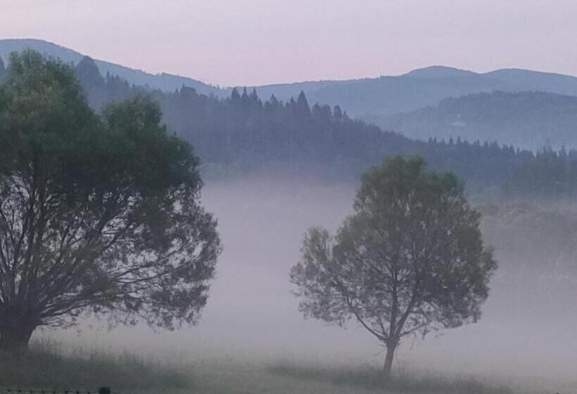 פנסיון Villove Domy Spa