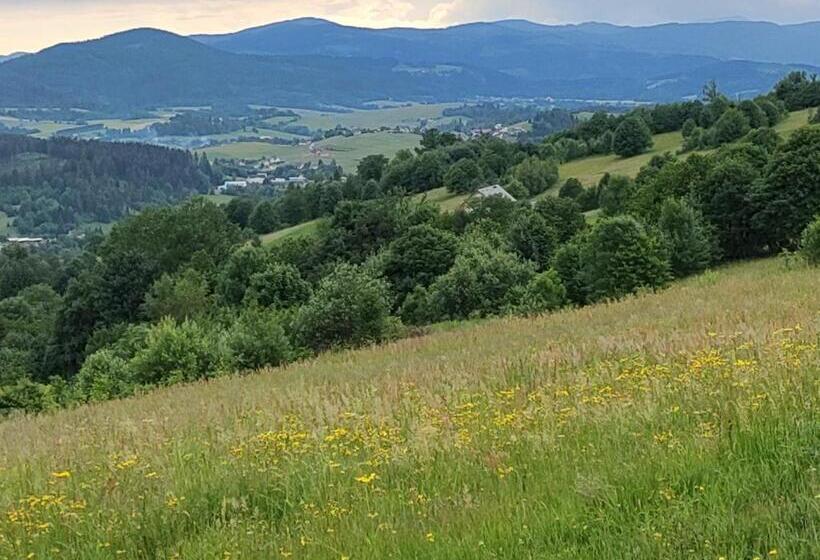 פנסיון Villove Domy Spa