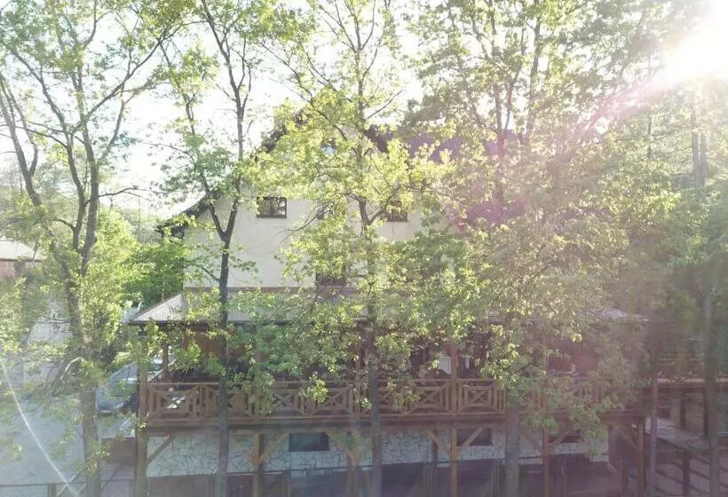 ペンション Złoty Jeleń Restauracja I Dom Gościnny