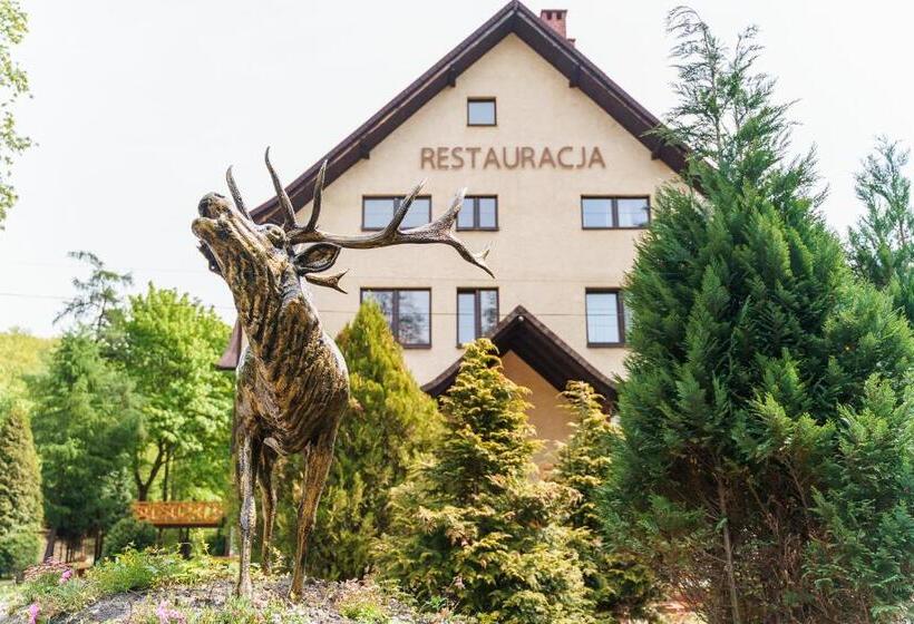 Пансион Złoty Jeleń   Restauracja I Dom Gościnny