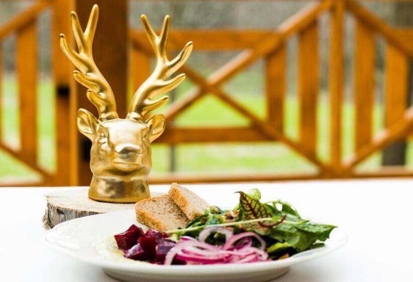 Пансион Złoty Jeleń   Restauracja I Dom Gościnny