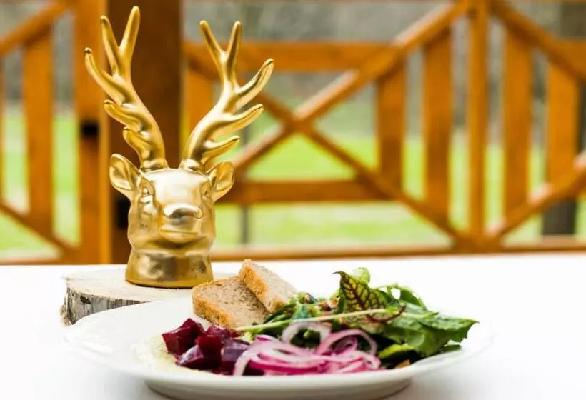 ペンション Złoty Jeleń Restauracja I Dom Gościnny