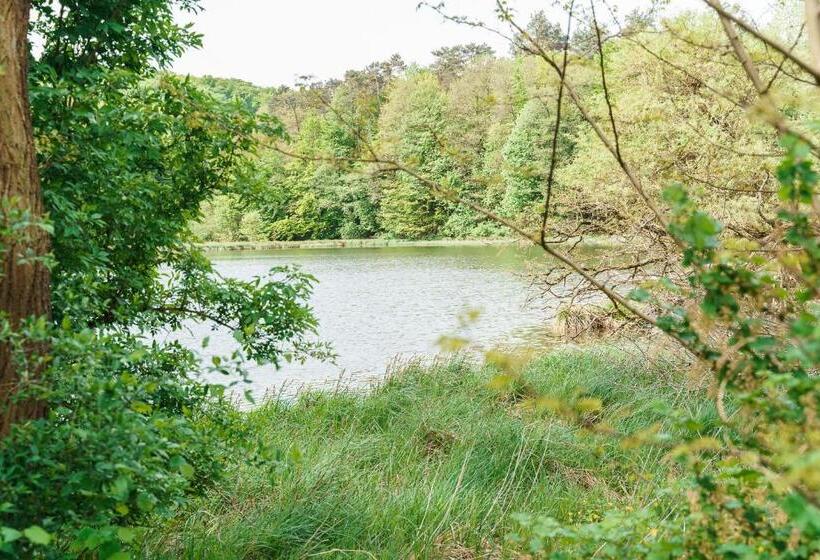 Pensionat Złoty Jeleń   Restauracja I Dom Gościnny