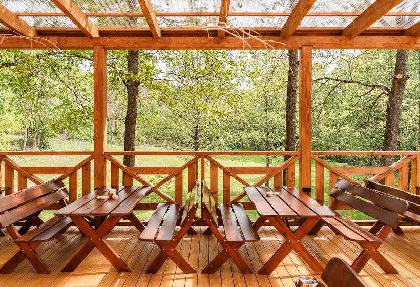 Пансион Złoty Jeleń   Restauracja I Dom Gościnny