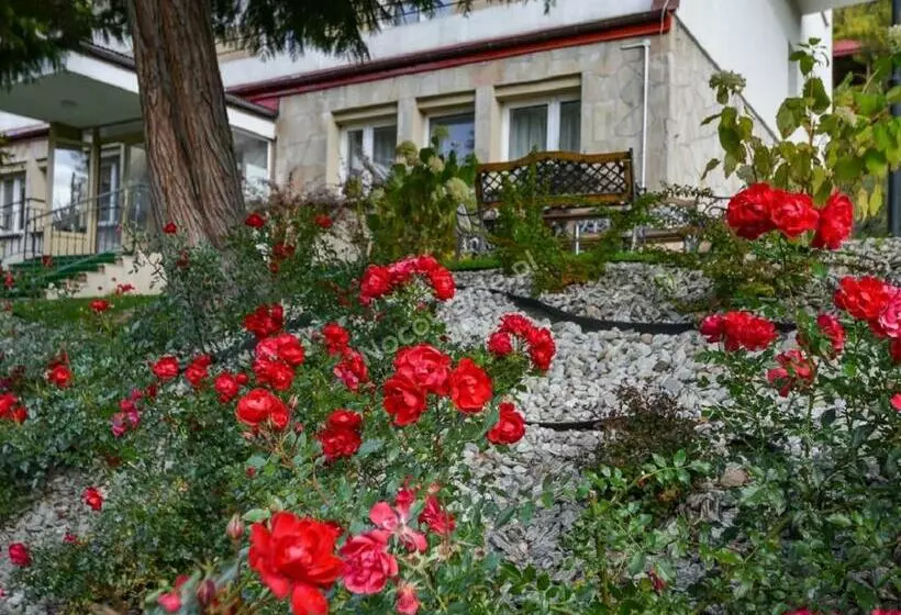 Lomakeskus Dom Wczasowy Sokolica