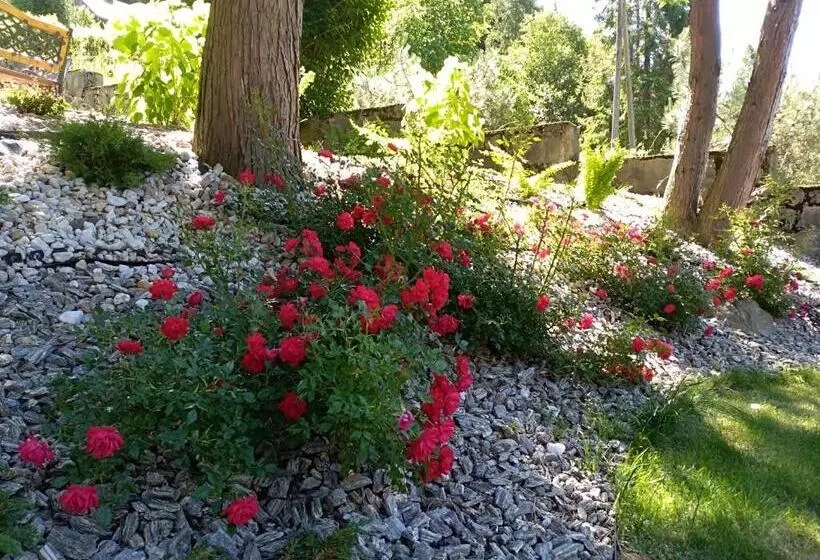 Lomakeskus Dom Wczasowy Sokolica