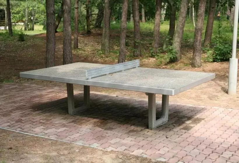 Lomakeskus Leśnik Bungalow Stegna   Domki Letniskowe Nad Morzem