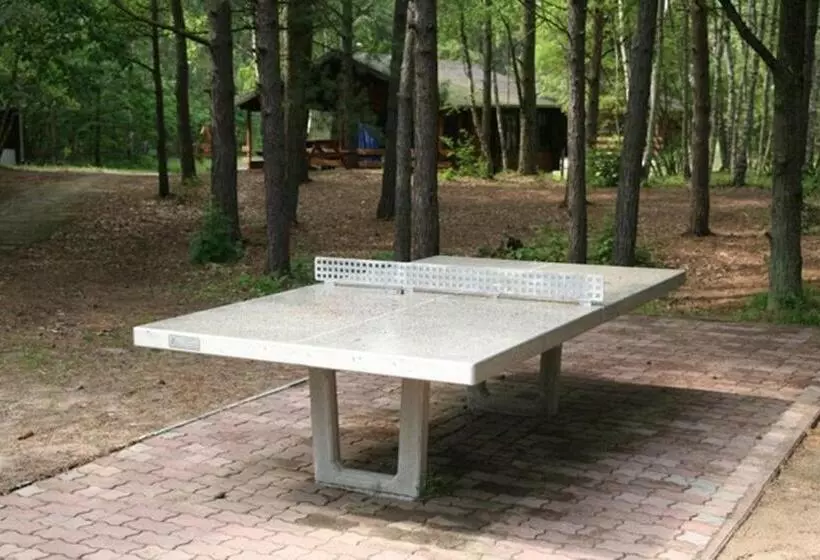 Lomakeskus Leśnik Bungalow Stegna   Domki Letniskowe Nad Morzem