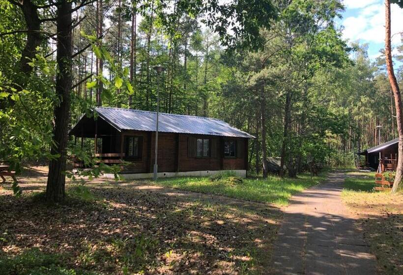 Курорт Leśnik Bungalow Stegna Domki Letniskowe Nad Morzem