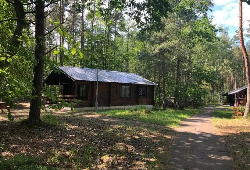 Lomakeskus Leśnik Bungalow Stegna   Domki Letniskowe Nad Morzem