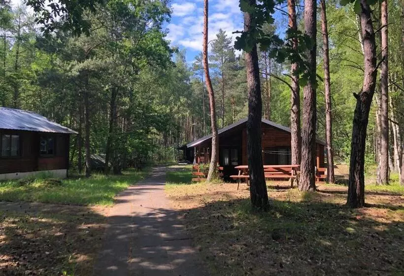 Lomakeskus Leśnik Bungalow Stegna   Domki Letniskowe Nad Morzem