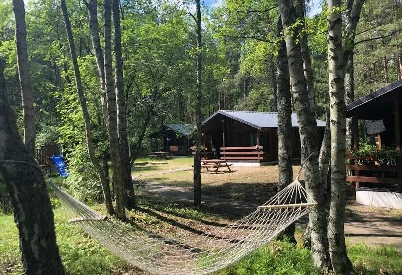 Lomakeskus Leśnik Bungalow Stegna   Domki Letniskowe Nad Morzem
