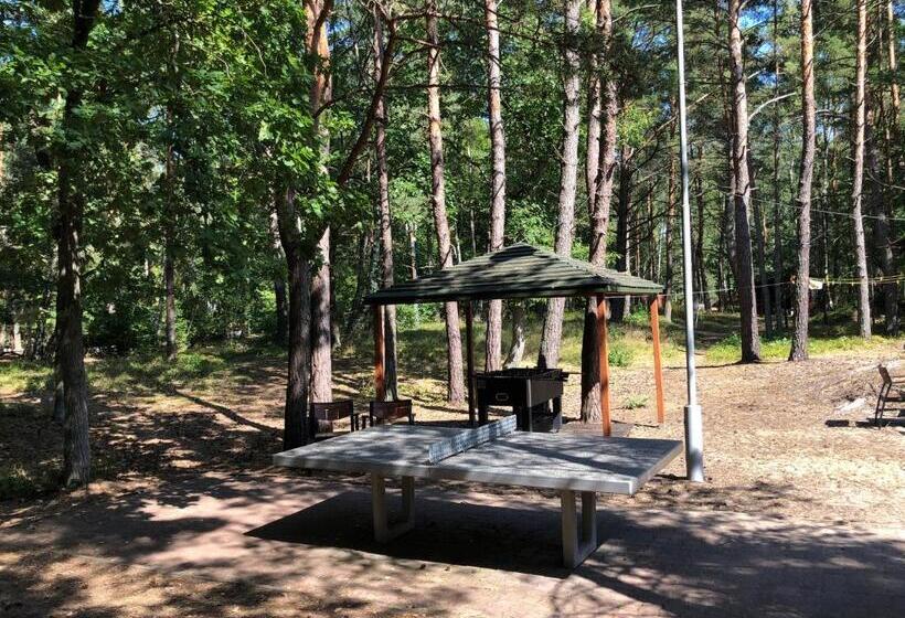 Курорт Leśnik Bungalow Stegna Domki Letniskowe Nad Morzem