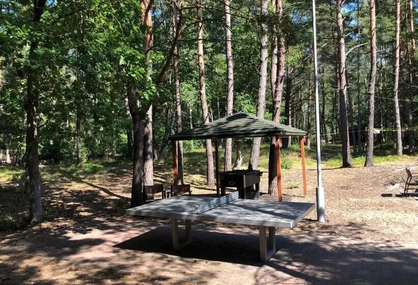 Lomakeskus Leśnik Bungalow Stegna   Domki Letniskowe Nad Morzem