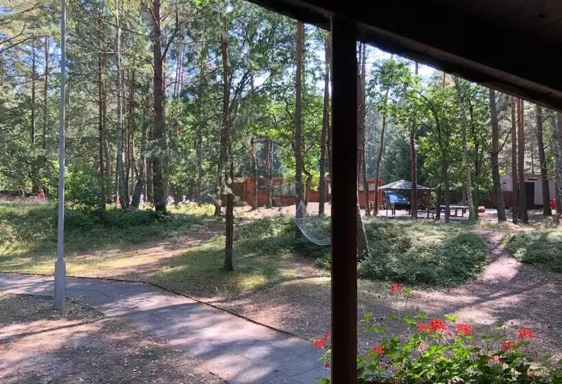 Lomakeskus Leśnik Bungalow Stegna   Domki Letniskowe Nad Morzem