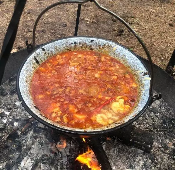 Lomakeskus Leśnik Bungalow Stegna   Domki Letniskowe Nad Morzem