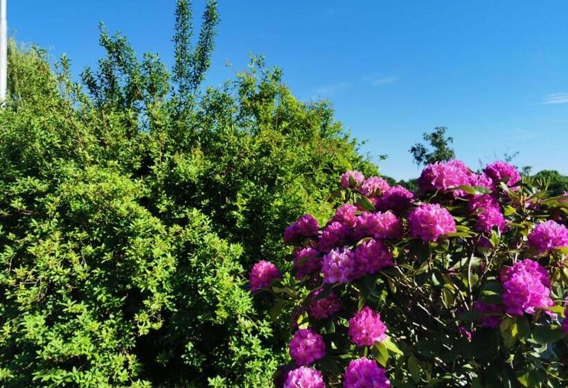 منتجع Ośrodek Natura