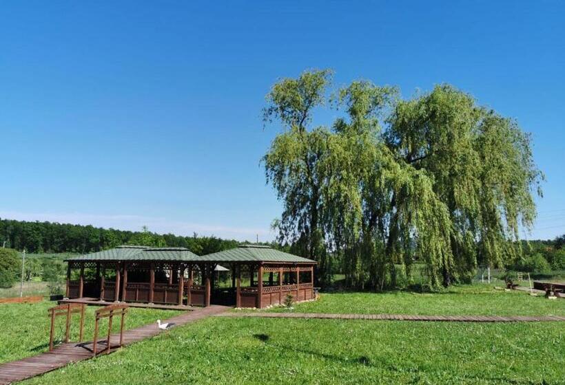 منتجع Ośrodek Natura