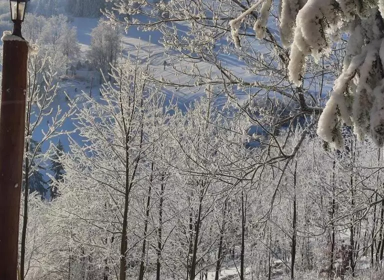 Lomakeskus Zbójnicka Chata
