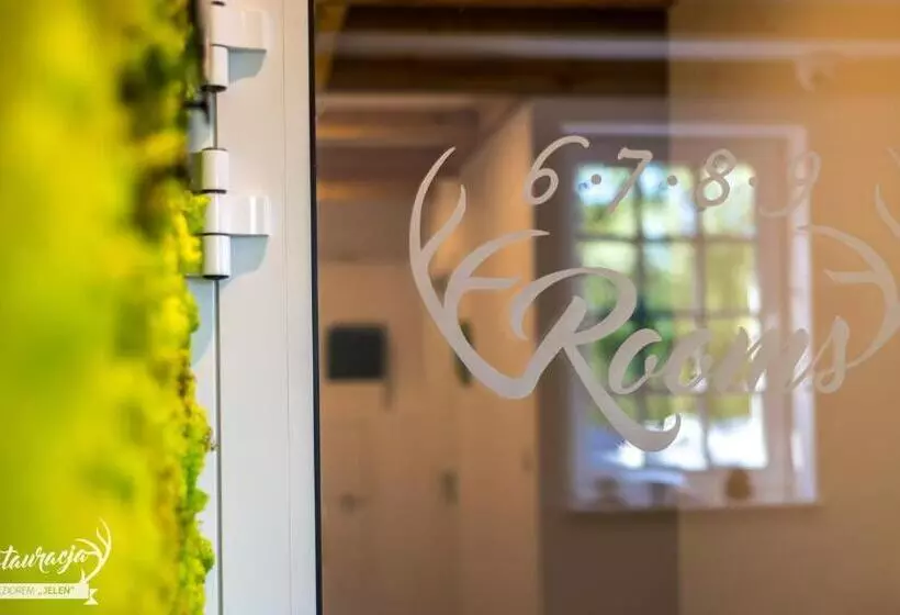 Retkeilymaja Pokoje Hotelowe Nad Jeziorem Jelen