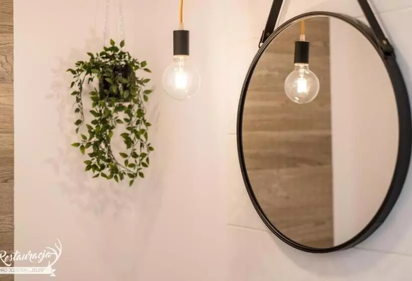 Retkeilymaja Pokoje Hotelowe Nad Jeziorem Jelen