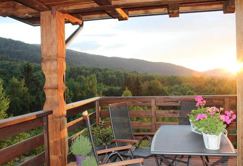 Bed and Breakfast Dom Malowany