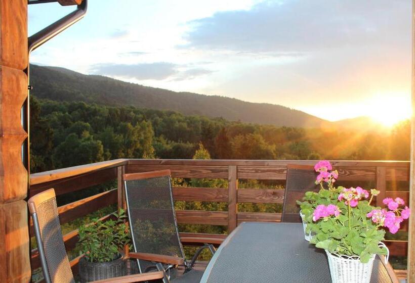 Bed and Breakfast Dom Malowany