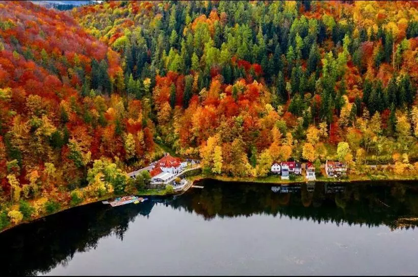 Aamiaismajoitus (B&B) Fregata