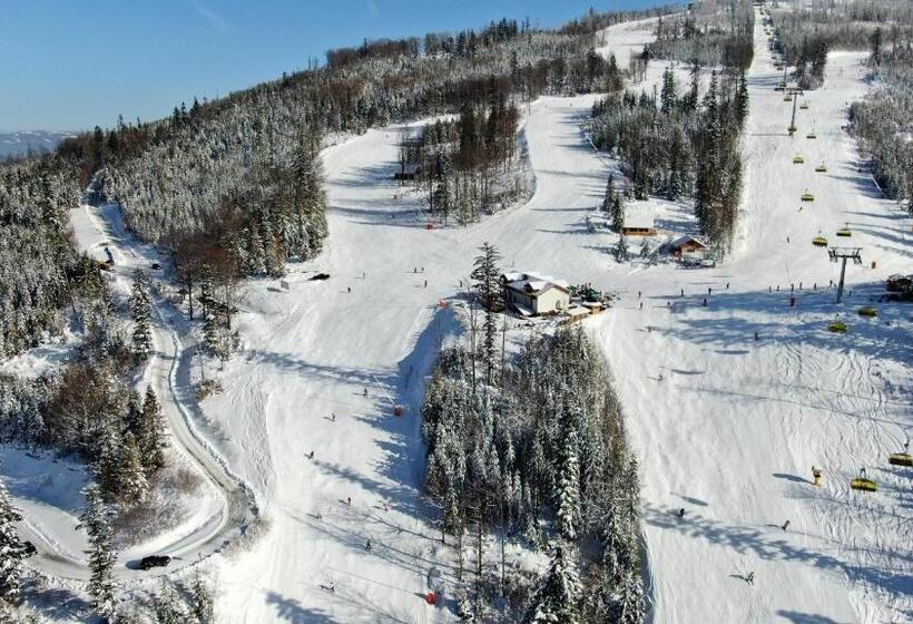 تختخواب و صبحانه Polana Suche