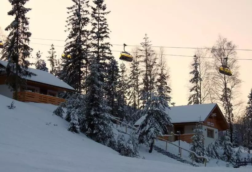 Aamiaismajoitus (B&B) Polana Suche