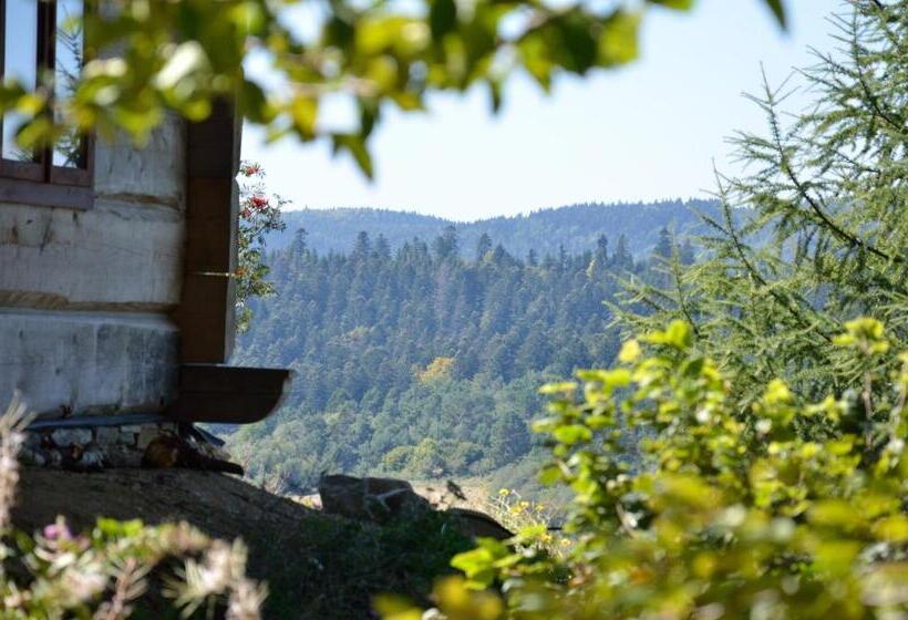 צימר Schronisko Górskie Nad Smolnikiem