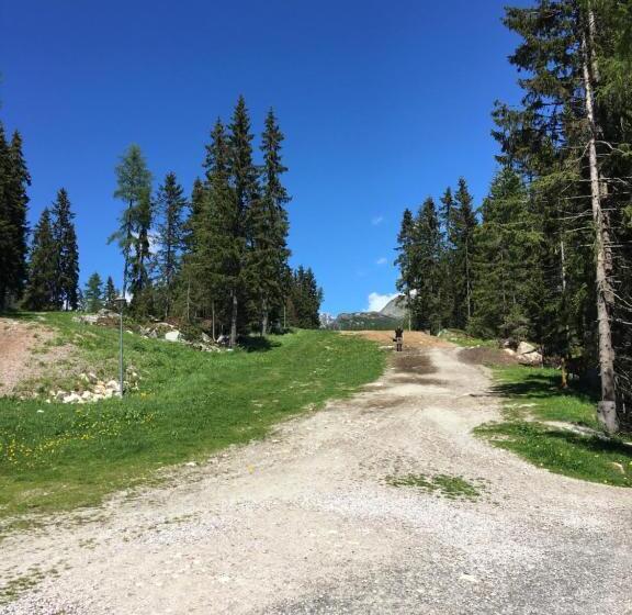 Hotel Agroturystyka Leśny Zakątek