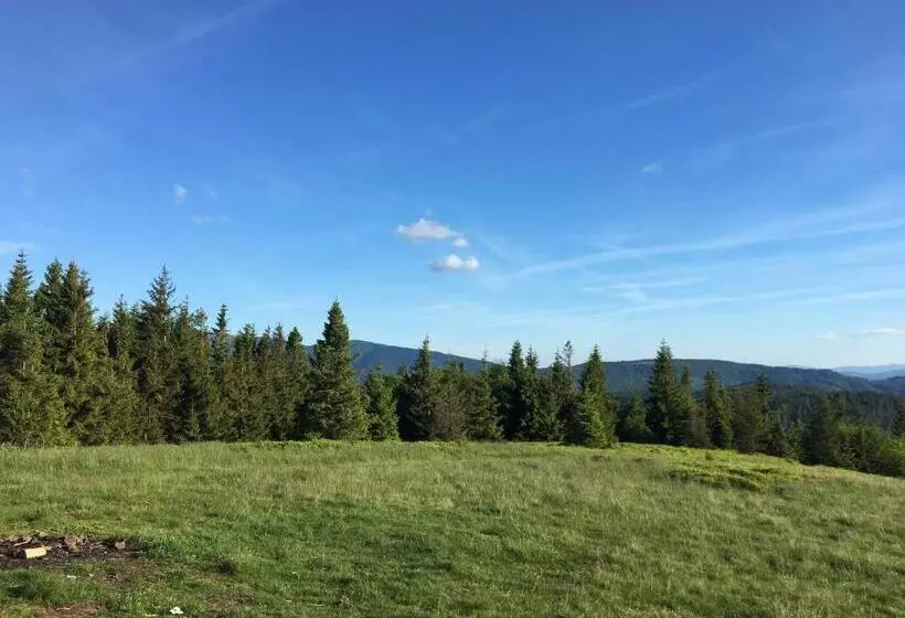 ホテル Agroturystyka Leśny Zakątek