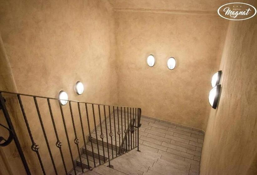 בית מלון כפרי Magnat