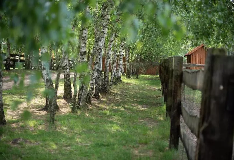 Hotelli Ranczo Smyczyna